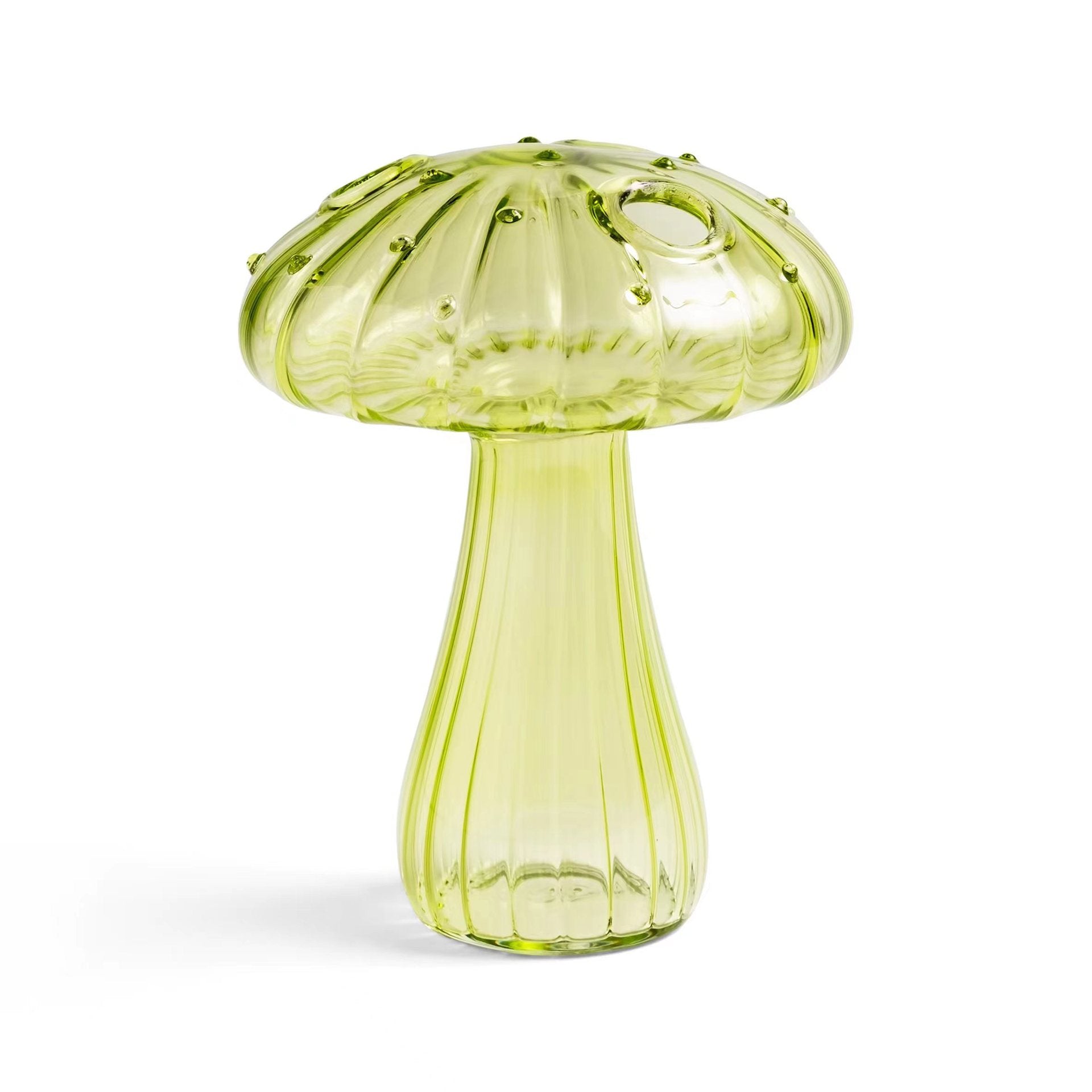 Glass Mushroom Vase – Borosilicate Hydroponics & Aromatherapy Bottle | 5 Styles